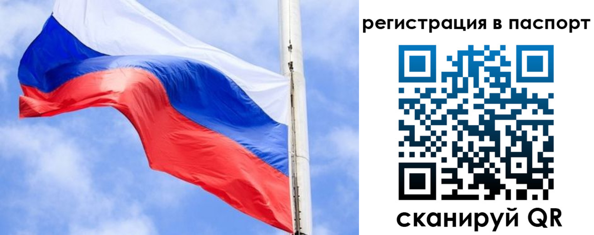 временная регистрация надежно в Покрове